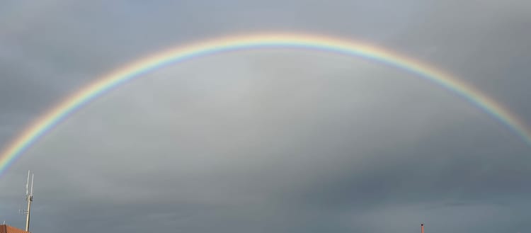 What IVF taught me about political possibility