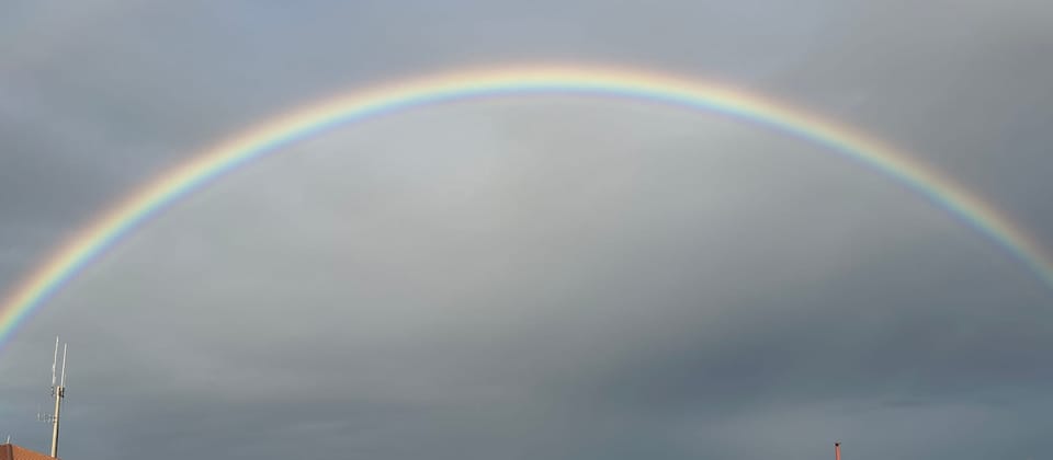 What IVF taught me about political possibility